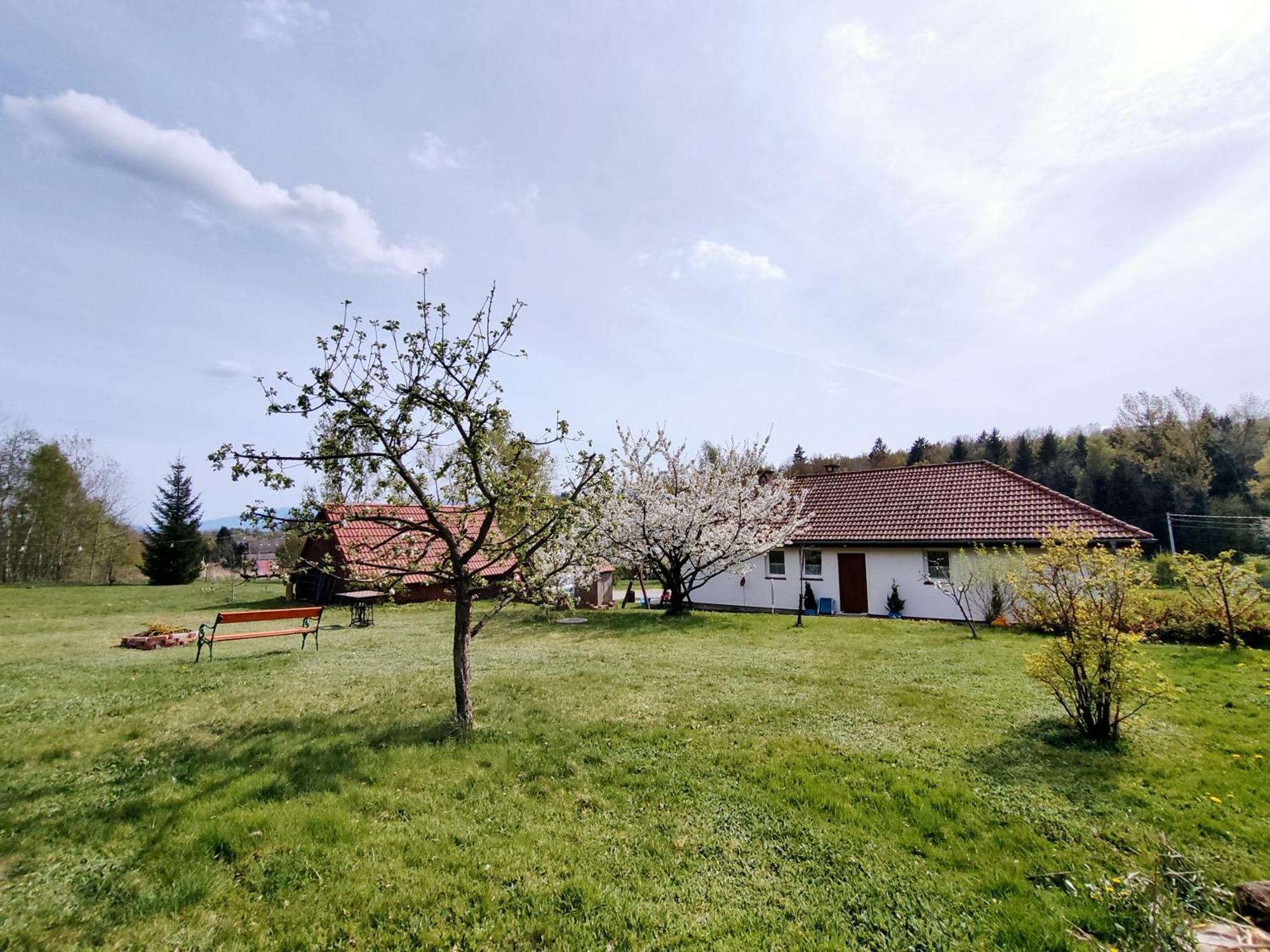 Apartament Izerskie Gaje Wojcieszyce ภายนอก รูปภาพ
